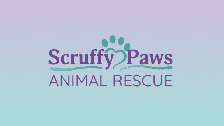 Scruffy Paws Animated Infographic
